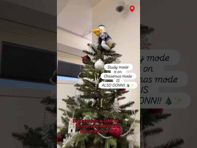 Hamburgo brilla aún más en Navidad ✨