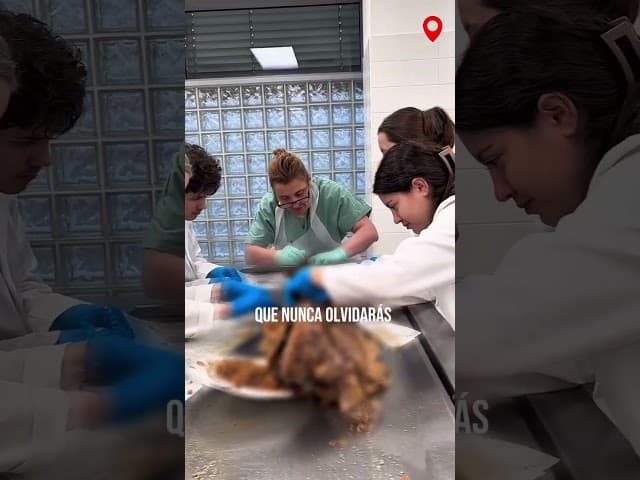 Algunos estudian anatomía en libros.