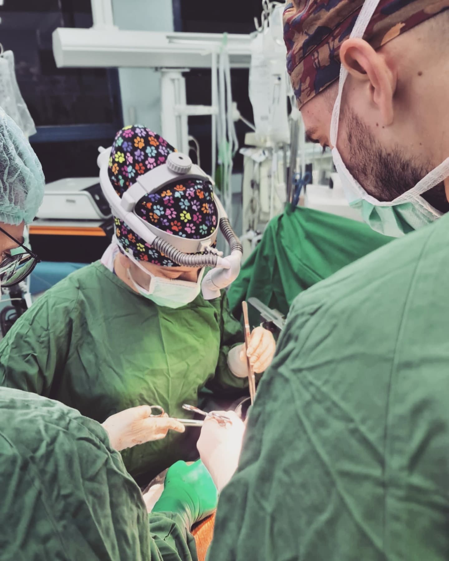 LBTU Gallery Image 4