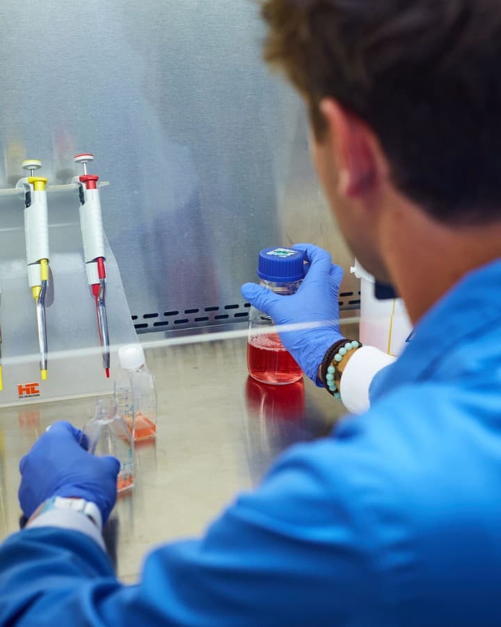 Católica Medical School Gallery Image 3