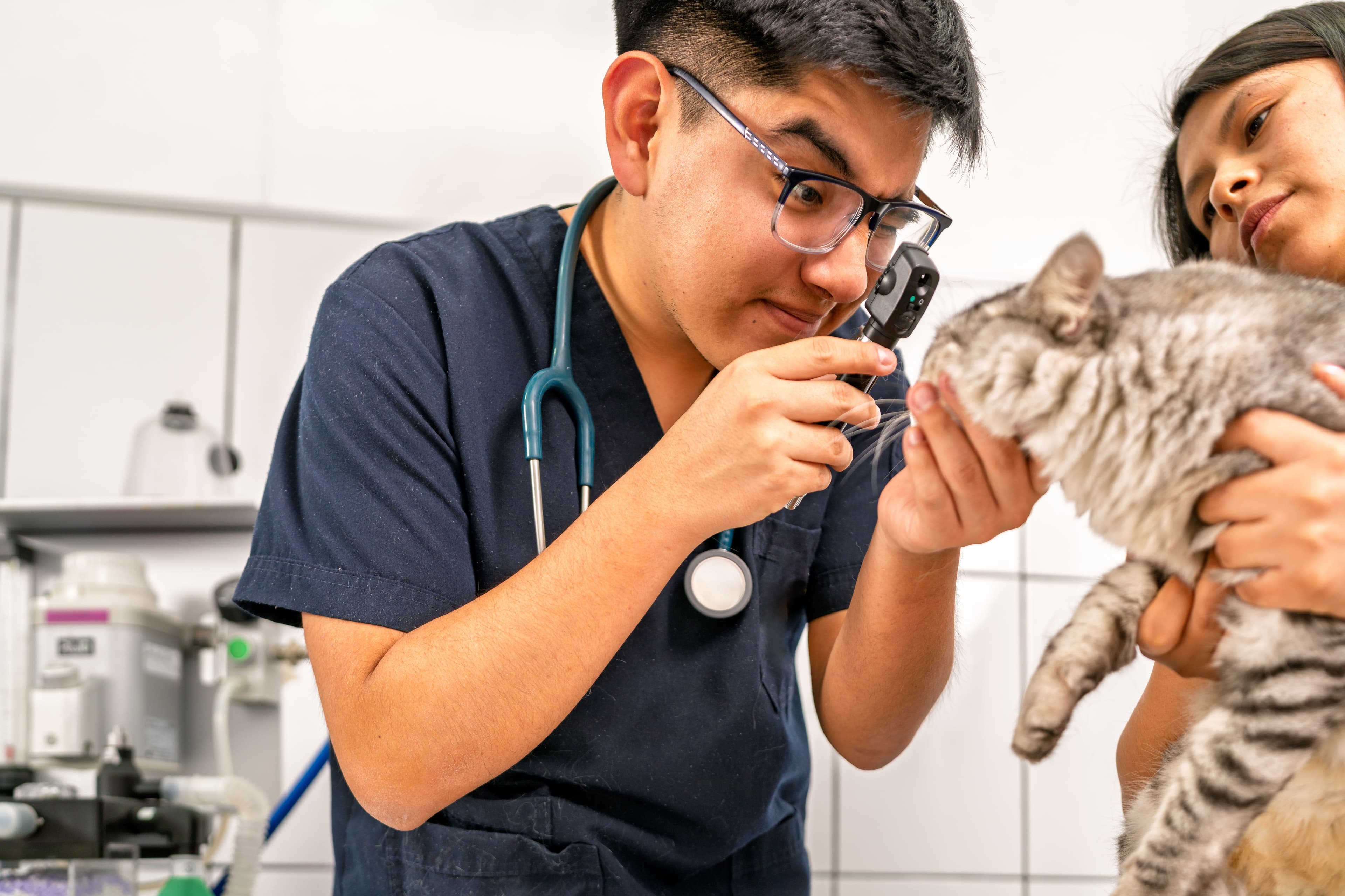 LBTU Gallery Image 4