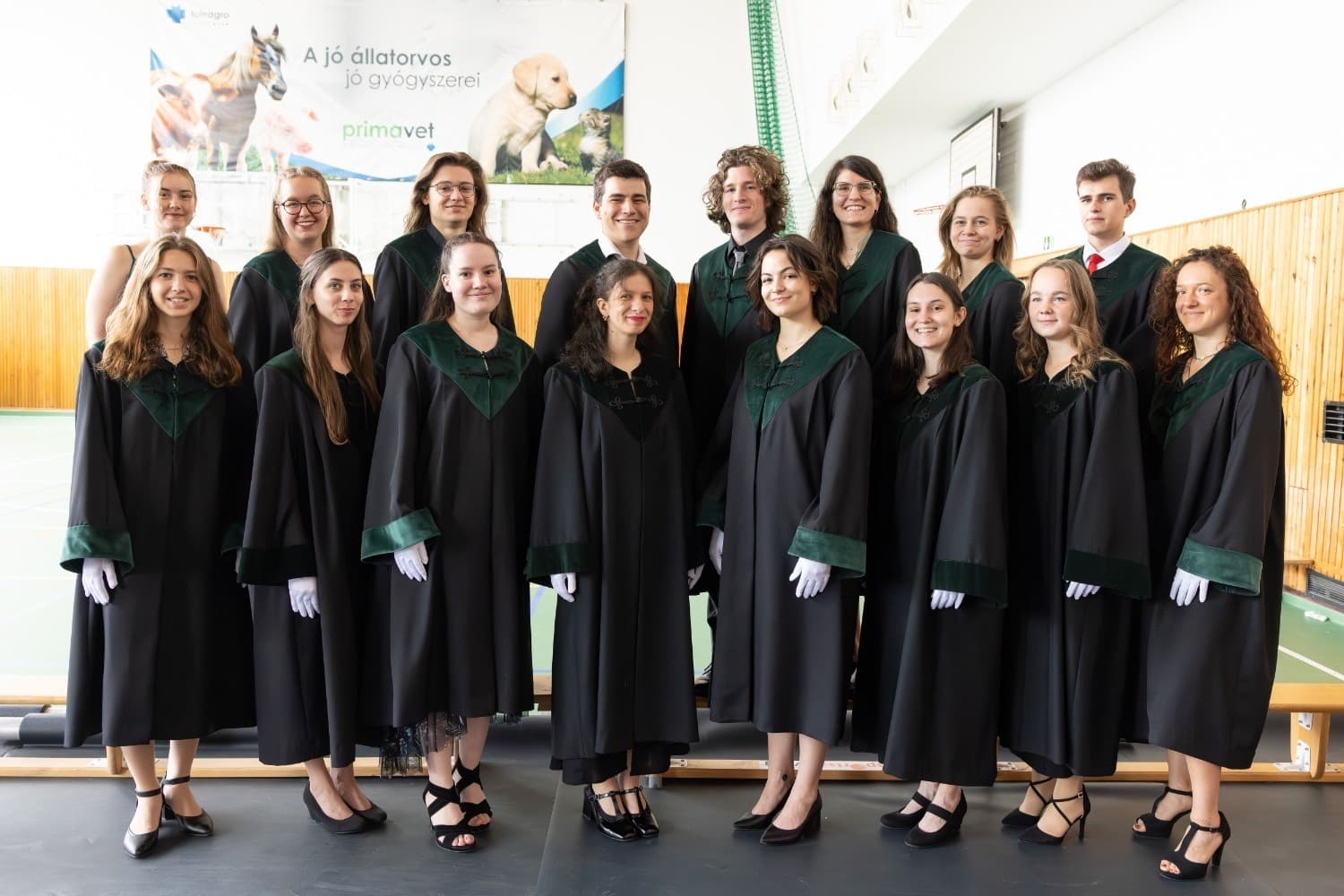 UMCH Gallery Image 2