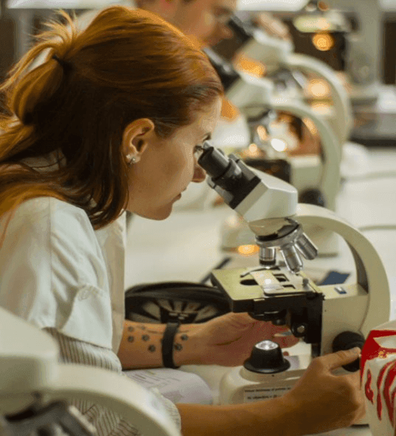 UMCH Gallery Image 3