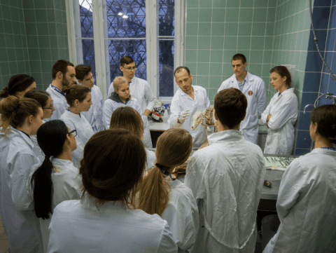 UMCH Gallery Image 4