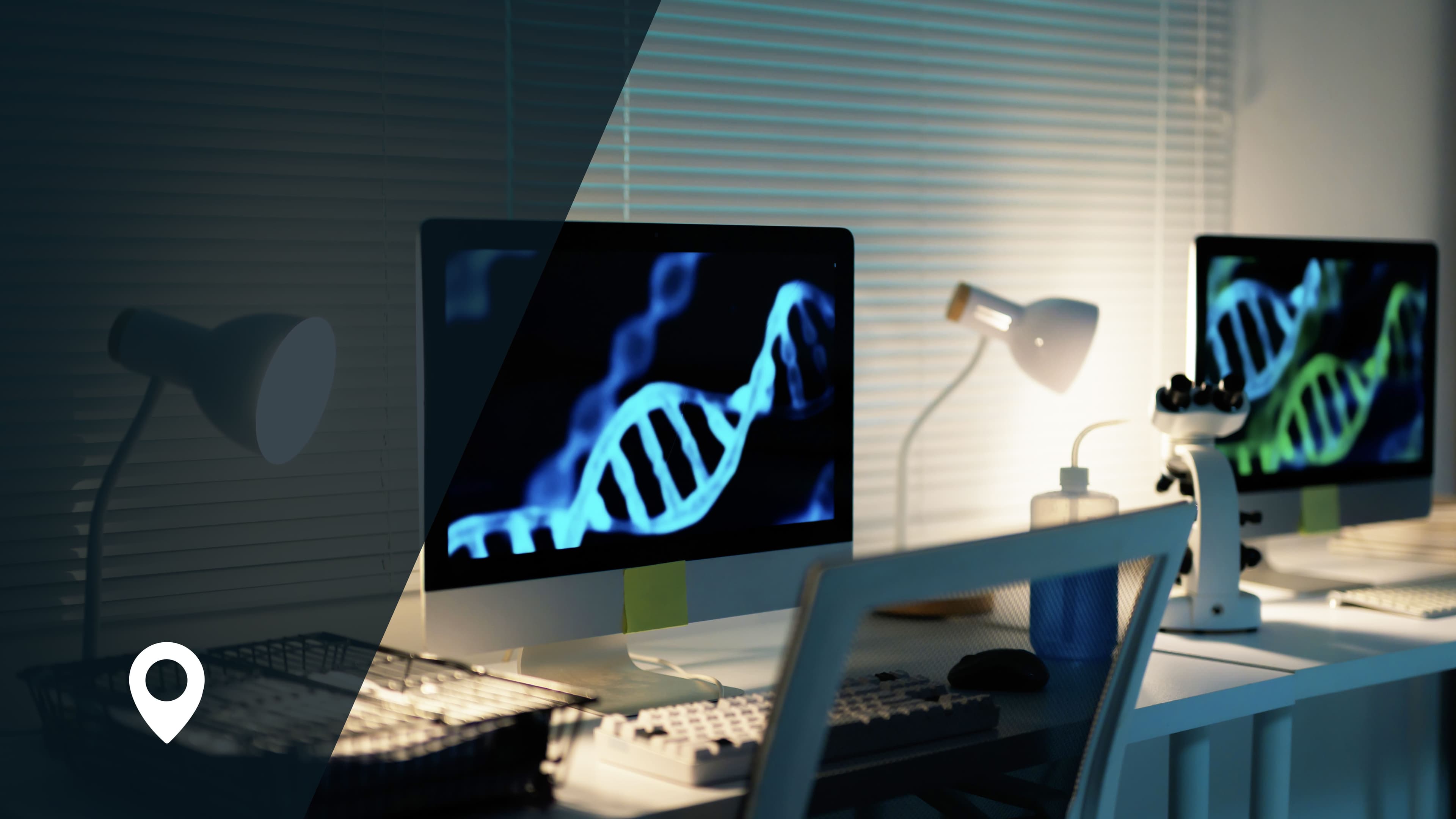 Biología: ADN, ARN y expresión génica - Guía actual para estudiantes de 2º de Bachillerato