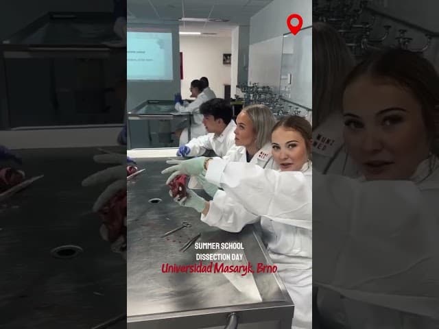 🩺✨ ¿Te imaginas empezando Medicina en septiembre?