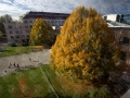 palacky-university-14