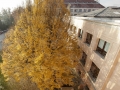 palacky-university-16