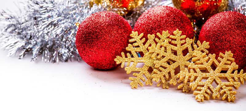 feliz navidad DEM