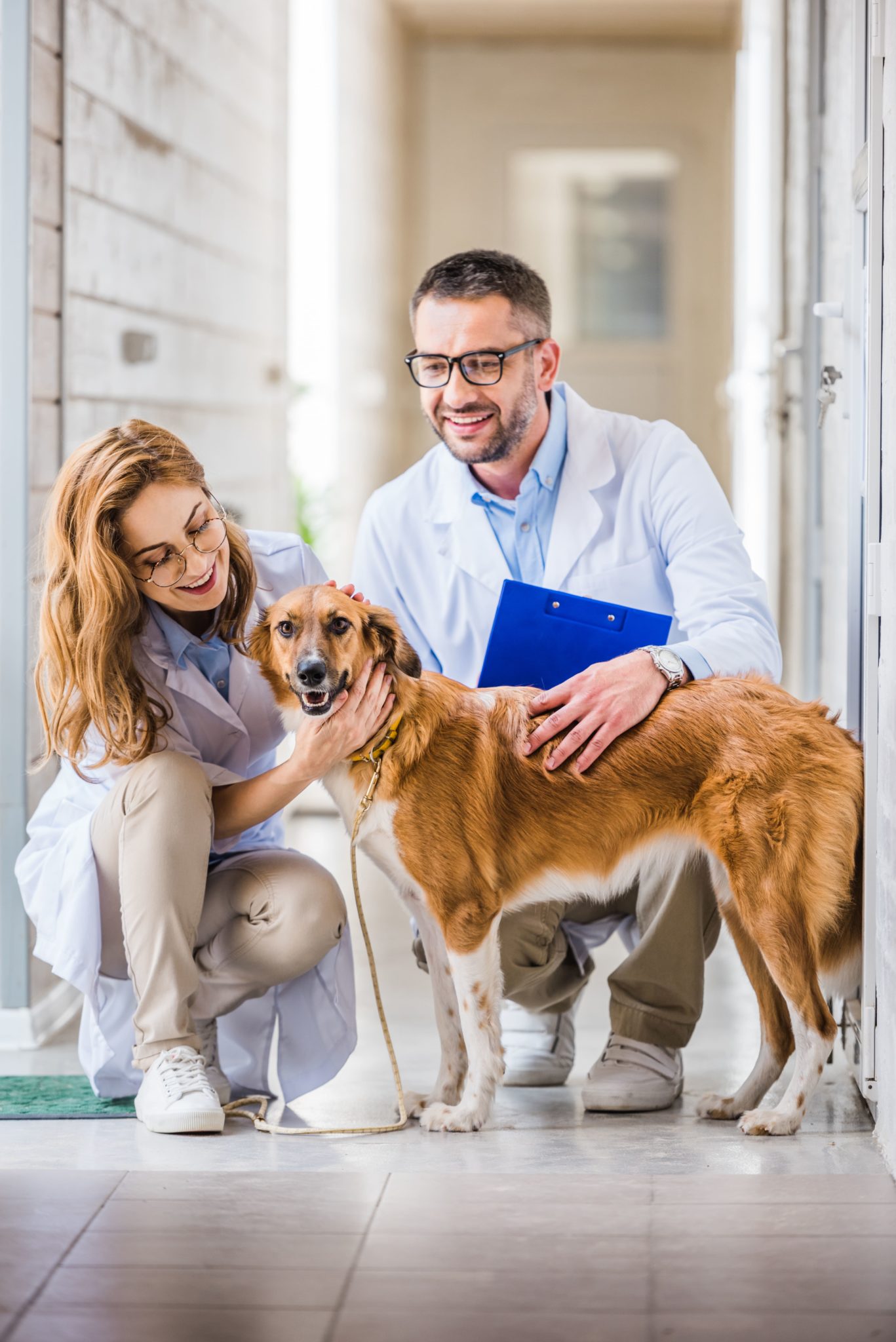 ¿Es estudiar la carrera de veterinaria en 2022?